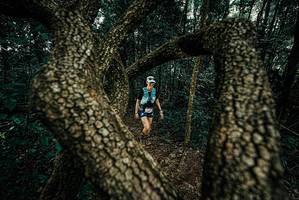 BIB: 
                            <button type="button" onclick="openModal(25682704)" class="btn btn-primary btn-sm float-right btn-popup" data-toggle="modal" data-target=".modal-high-quality">
                        <i class="fas fa-shopping-cart"></i> Add to Cart
                    </button>
                                            <button type="button" onclick="isThisMe(25682704, true)" class="btn btn-success btn-sm float-right btn-popup btn-isme hidden" data-toggle="tooltip" data-placement="bottom" title="นี่คือรูปของคุณใช่ไหม คลิกที่นี่เพื่อเอาเข้าอัลบั้ม">
                        <i class="fas fa-plus"></i> Add to album
                    </button>
                    <button type="button" onclick="isThisMe(25682704, false)" class="btn btn-warning btn-sm float-right btn-popup btn-isnotme hidden">
                        <i class="fas fa-ban"></i> Remove from album
                    </button>